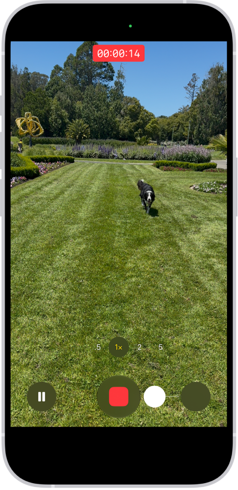 The camera frame fills the screen. At the bottom of the screen, the Shutter button moves to the right, demonstrating the movement of recording hands-free.