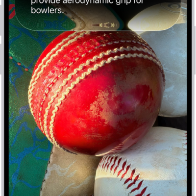 An iPhone screen shows a response from Siri identifying what's in the camera viewfinder.