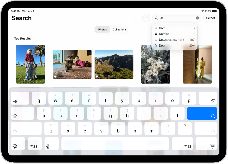The Search screen in the Photos app. At the top of the screen is the search field and below it are suggestions.