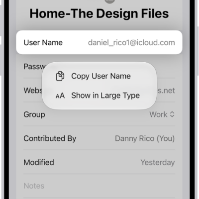An account screen showing the user name highlighted, with options to Copy User Name and Show in Large Type.