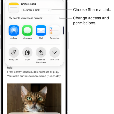 A collaboration invitation to a recipe in Notes, showing Share a Link for the share option and "People you choose can edit" as the access and permission setting. Below that, four different ways to share the note are presented: AirDrop, Messages, Mail, and Reminders.