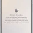 A Private Browsing screen in the Safari app. The word Private appears in the field at the bottom of the screen.