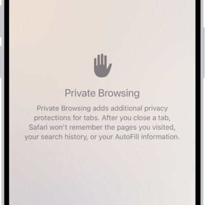 A Private Browsing screen in the Safari app. The word Private appears in the field at the bottom of the screen.